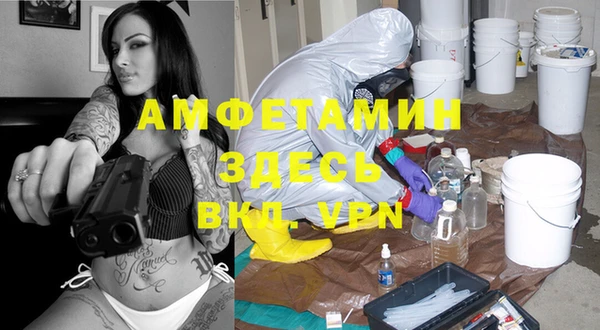твердый Богородицк