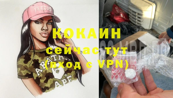 первитин Богданович