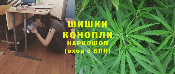 первитин Богданович