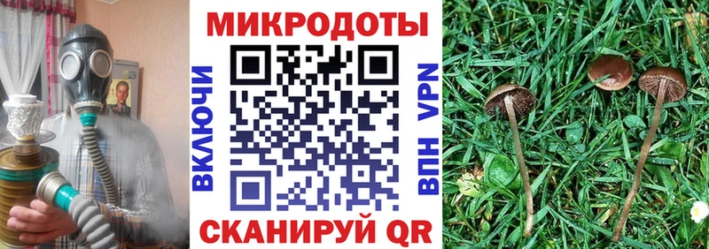 Купить закладки Поронайск Псилоцибиновые грибы Cubensis